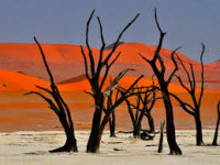 /album/pripravujeme-na-rok-2019/namib1-jpg1/