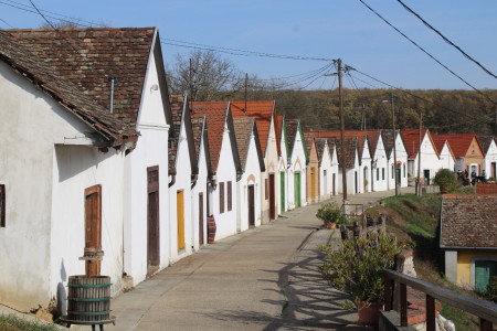 Všechny fotografie z této akce najdete v sekci "Fotogalerie 2"