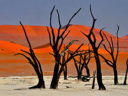 S OVýTem NAMIBIE - JEDINEČNÁ KRÁSA AFRIKY s možností prodloužení o Okawango a Viktoriiny vodopády (2.-19./28./10.2026