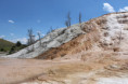 /album/z-nasi-posledni-akce/img-1480-jpg/